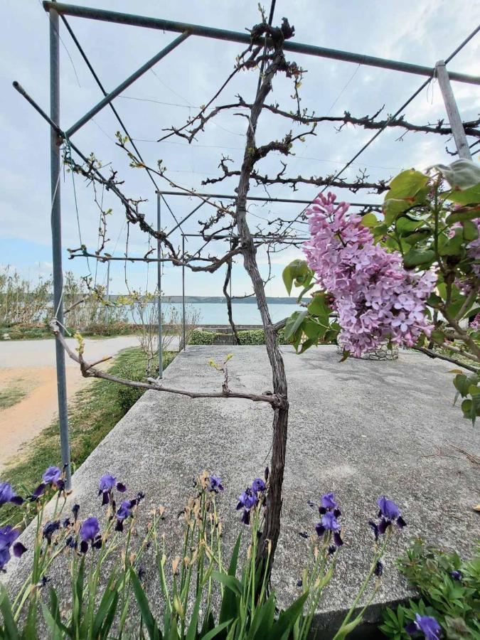 Apartmani Seaview Ljubač Kültér fotó